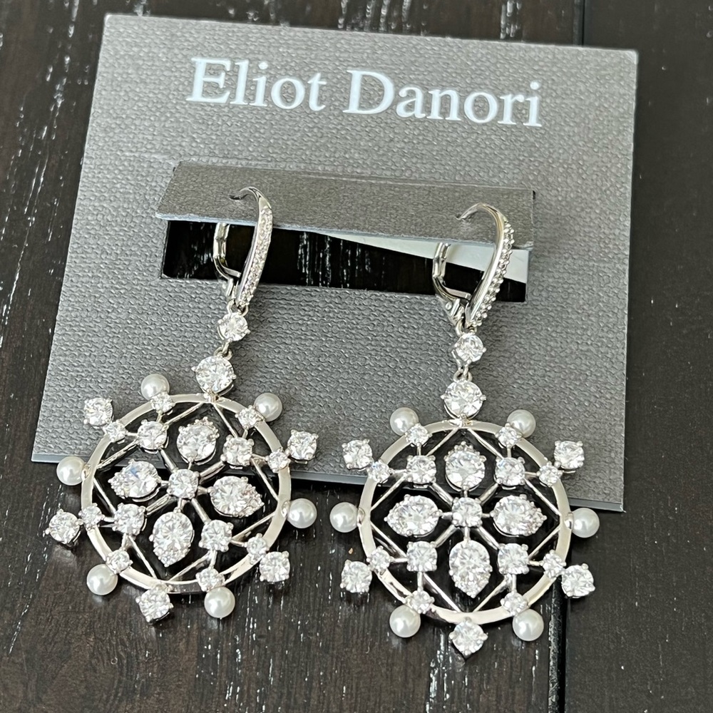 Eliot Danori Earrings